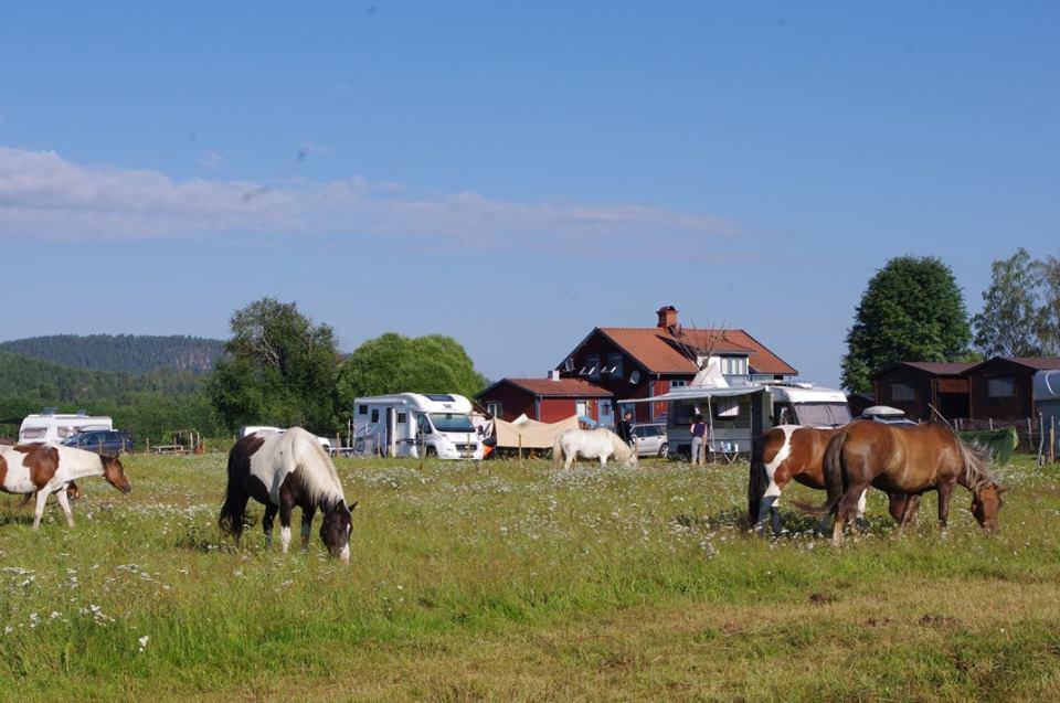 לינה וארוחת בוקר Ekshärad Sun Dance Ranch מראה חיצוני תמונה